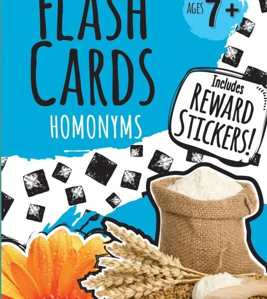 Bendon® Homonyms Flash Cards